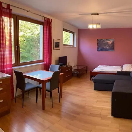 Michael 公寓 Špindlerŭv Mlýn