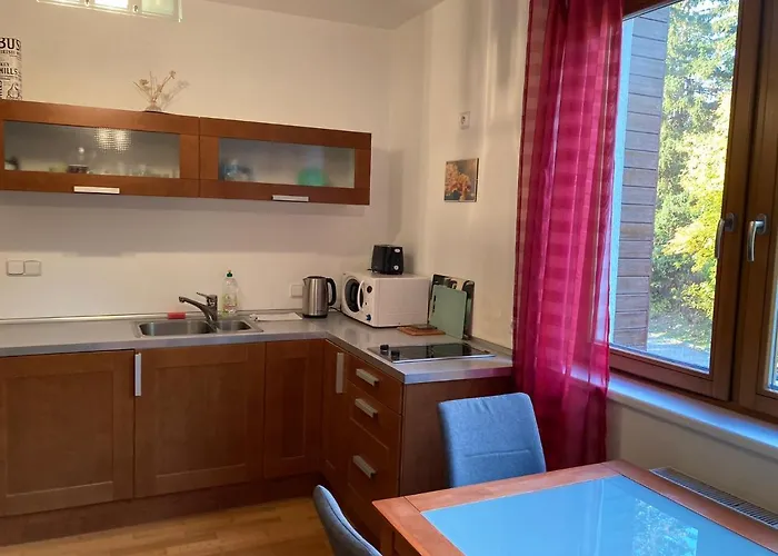 Michael Špindlerŭv Mlýn